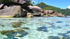 Landscapes Sea Beaches