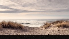 Landscapes Sea Beaches