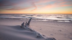 Landscapes Sea Beaches