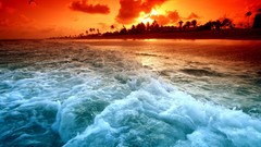 Landscapes Sea clouds coast palm trees Beaches