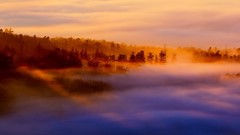 Landscapes Sea fog nature forests dawning