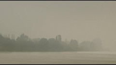 Landscapes Sea fog Trees normandy forests artwork Normandie 