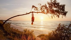 Landscapes Sea freedom nature Trees sun hanging upside down