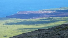Landscapes Sea grass plains Alexander Pohl La reunion