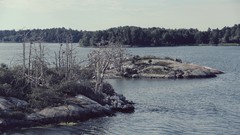 Landscapes Sea Islands sweden stockholm