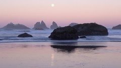 Landscapes Sea Kittens Oregon Beaches