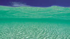 Landscapes Sea nature