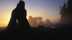 Landscapes Sea nature