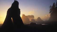 Landscapes Sea nature