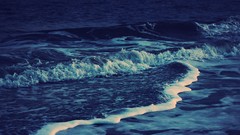 Landscapes Sea nature