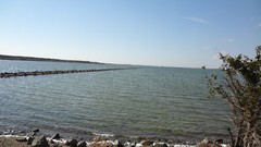 Landscapes Sea nature