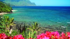 Landscapes Sea nature