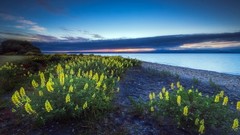 Landscapes Sea nature