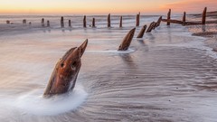 Landscapes Sea nature