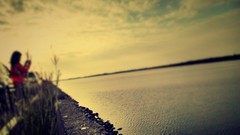 Landscapes Sea nature