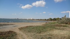 Landscapes Sea nature Beaches