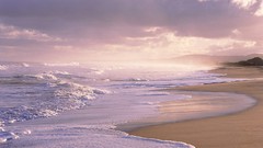 Landscapes Sea nature Beaches shore