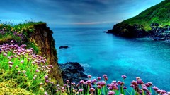 Landscapes Sea nature cliffs