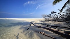 Landscapes Sea nature coast Maldives palm trees Beaches tropical