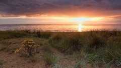 Landscapes Sea nature grass sky light coast evening horizon 
