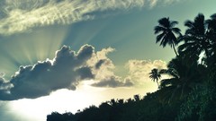 Landscapes Sea nature Islands palm trees Beaches waves outdoors