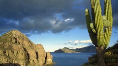 Landscapes Sea nature Mexico California