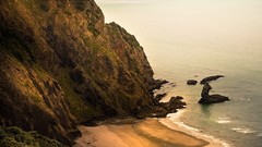 Landscapes Sea nature New Zealand Beaches