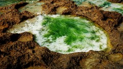 Landscapes Sea nature ocean Beaches