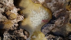 Landscapes Sea nature ocean Beaches