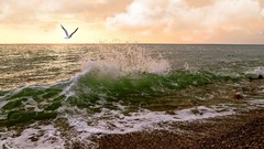 Landscapes Sea nature ocean Beaches waves seagulls sea 
