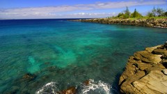 Landscapes Sea nature ocean Green cliffs rocks shore wildlife 