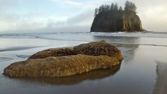 Landscapes Sea nature Oregon Beaches national park