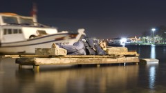 Landscapes Sea nature port