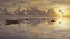 Landscapes Sea nature reflections