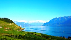 Landscapes Sea nature skies