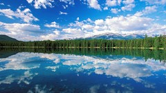 Landscapes Sea nature Trees clouds Wood lakes mirrors skyscapes