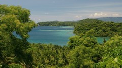 Landscapes Sea nature Trees coast forests skyscapes