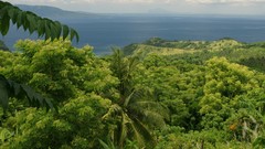 Landscapes Sea nature Trees forests