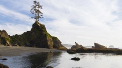 Landscapes Sea nature Trees ocean morning cliffs rocks Beaches