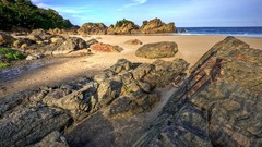 Landscapes Sea nature Trees rocks Beaches skyscapes