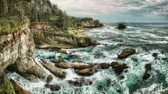 Landscapes Sea nature Trees water