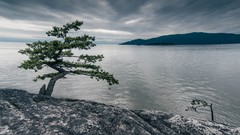 Landscapes Sea nature Trees water clouds ocean Canada rocks 