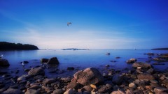 Landscapes Sea nature water coast Birds Canada rocks seagulls 