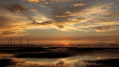 Landscapes Sea nature wind coast evening pools