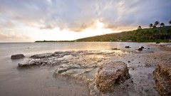 Landscapes Sea nature wind coast palm trees
