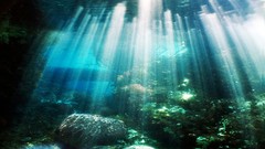 Landscapes Sea nature yellow water blue ocean white Green 