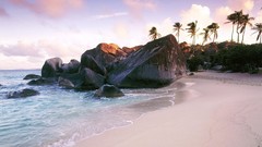 Landscapes Sea palm trees rocks Beaches