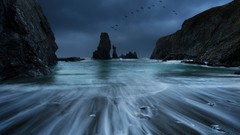 Landscapes Sea stones blue coast France Birds Europe rocks 