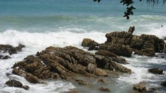 Landscapes Sea stones nature branches coast rocks waves