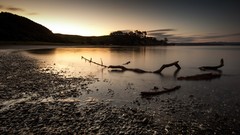 Landscapes Sea stones nature trunks Earth Beaches